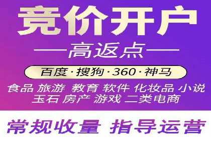 行业首例：SEM竞价优化案例的成效与启示